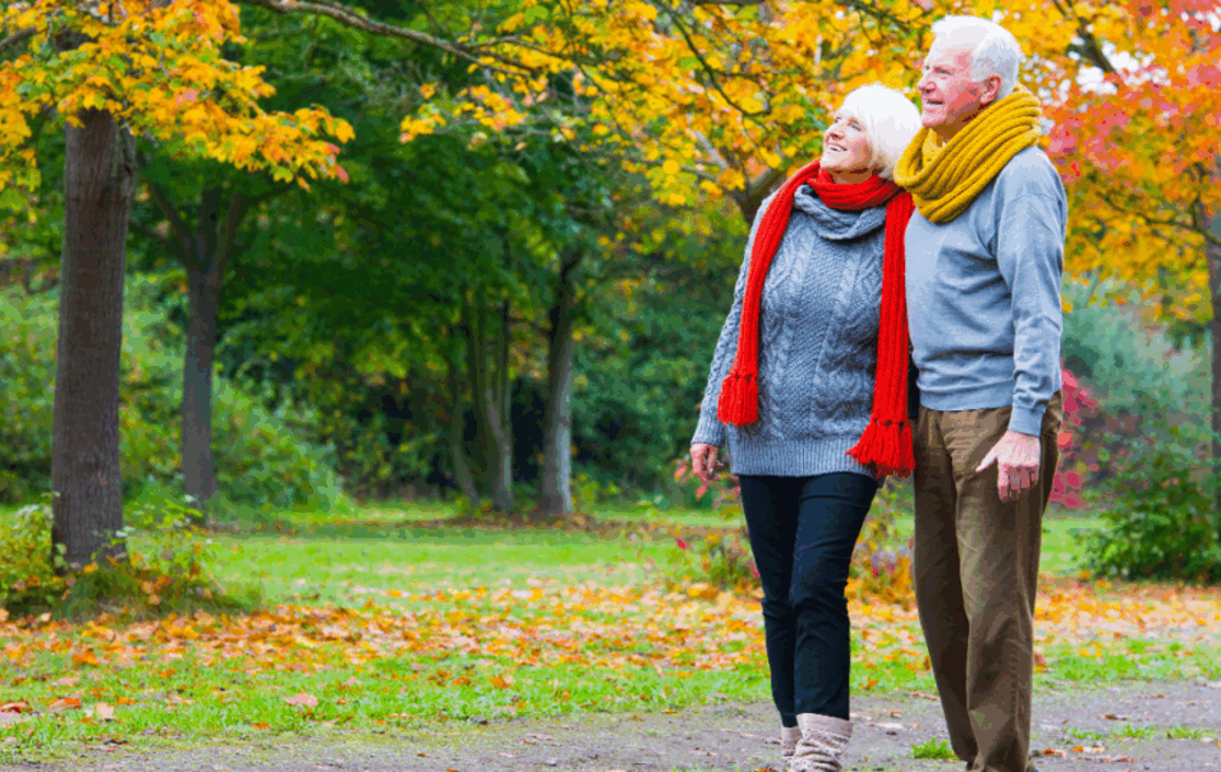 A senior couple walking through a park filled with trees filled with autumnal leaves