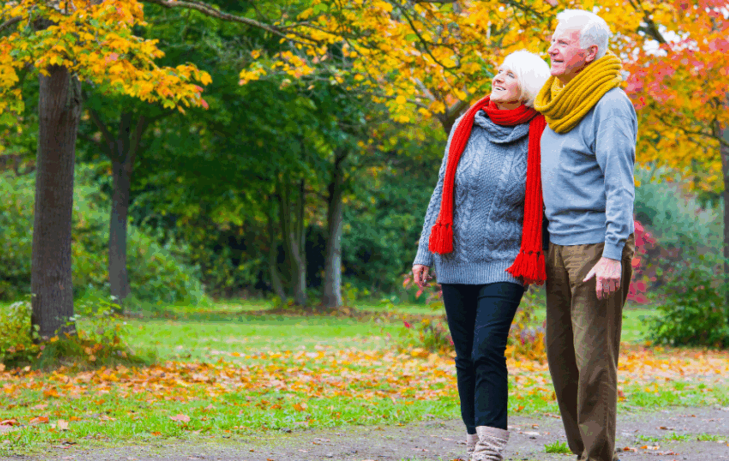 Senior man and woman in garden