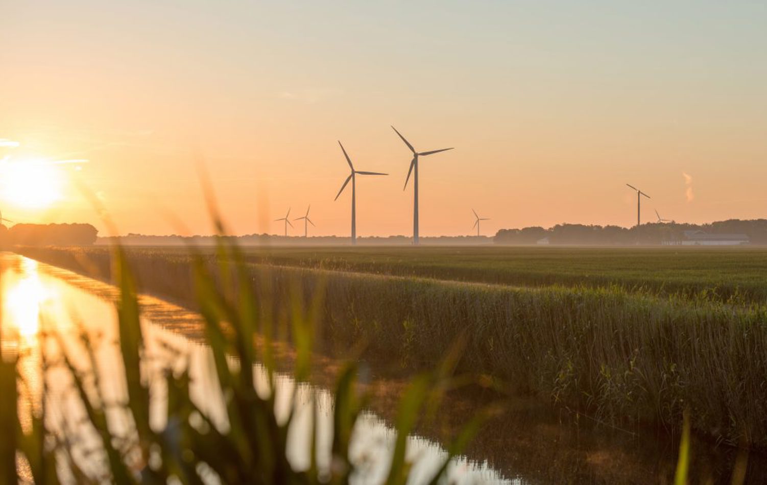Wind farm B Corp