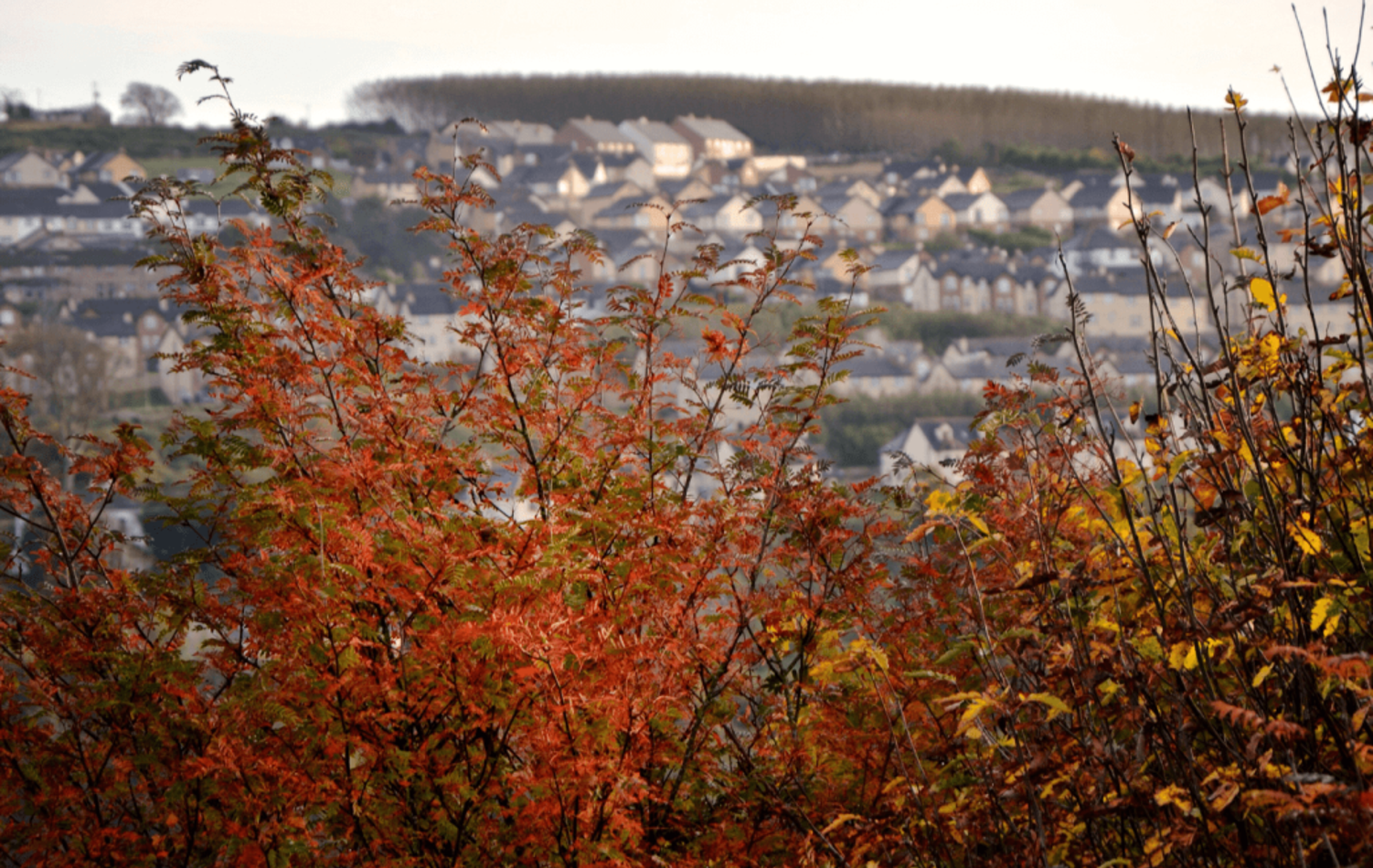 autumn budget pension planners 