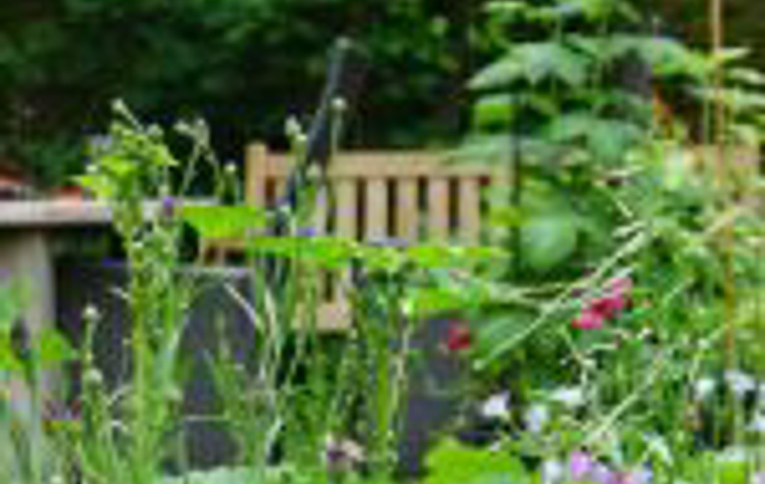 Community garden 